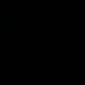 Meet your Posher, Hailey